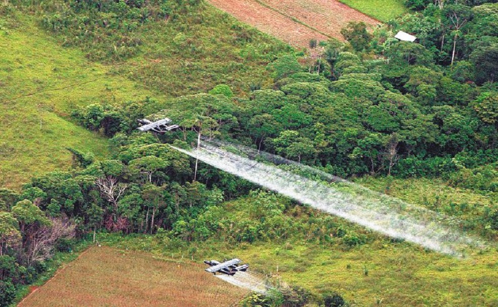 Según el Min defensa, mediante aspersión aérea se erradican por día entre 400 y 600 hectáreas de coca.