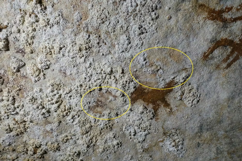 Así descubrieron el arte rupestre más antiguo en todo el mundo: fue hecho hace 67.800 años