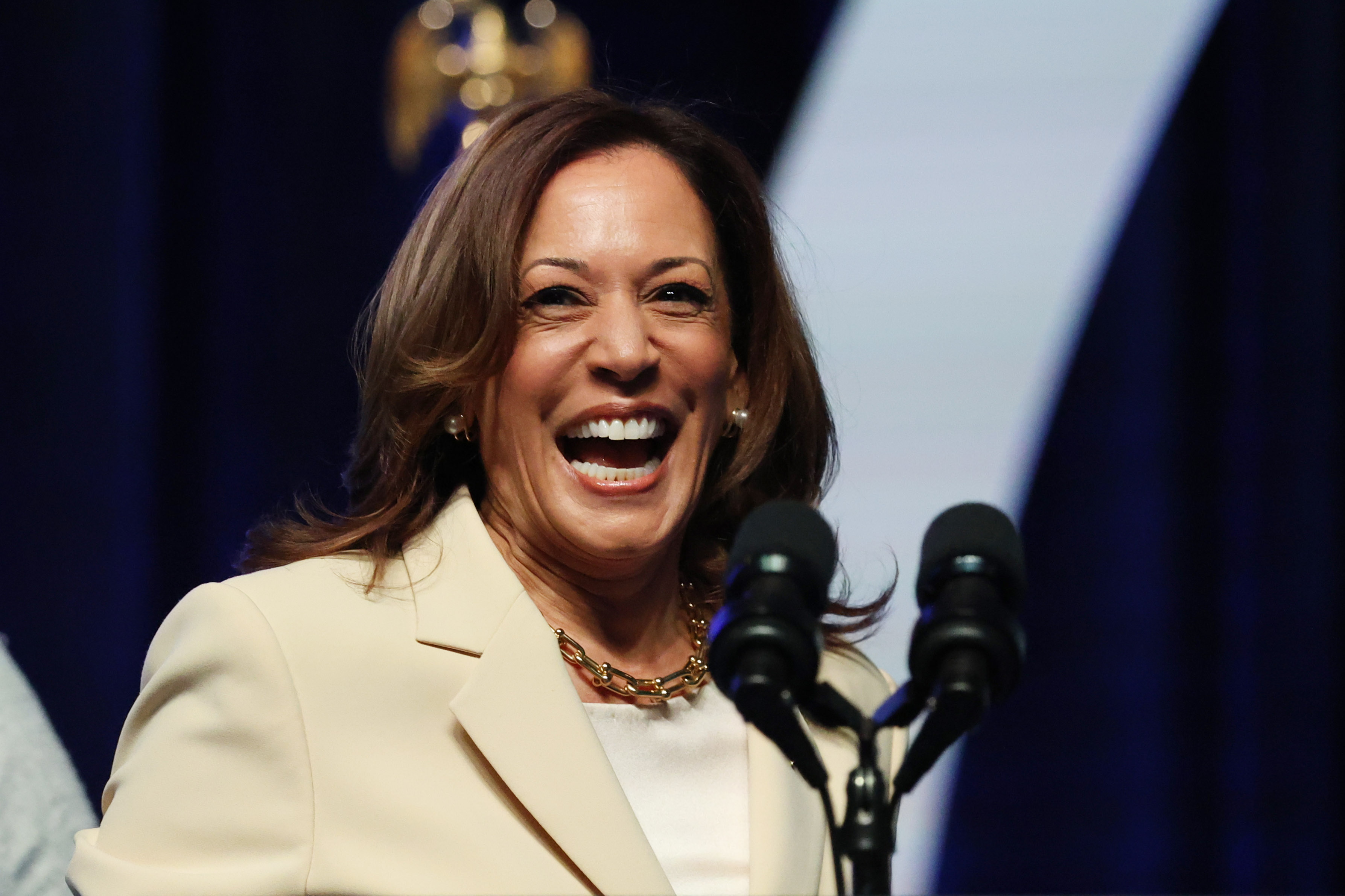 Todo lo que debe saber sobre cómo son las elecciones en los Estados Unidos