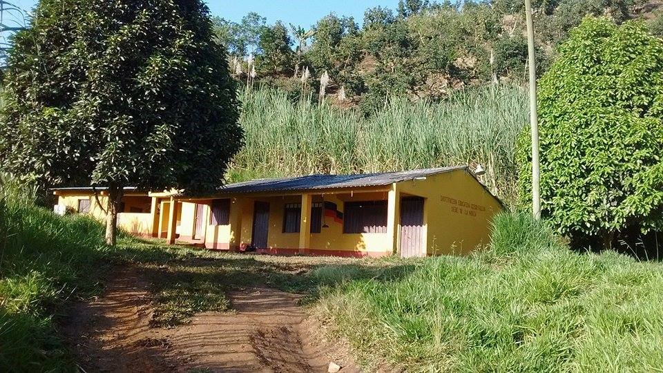 Así cambió la vida de una profesora amenazada en Tolima