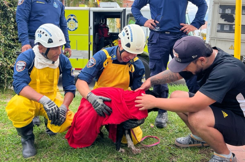 Así fue el rescate de una perrita que cayó a un pozo en Antioquia (video)