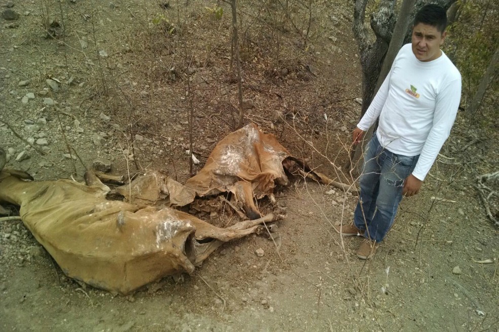 Pescadores, bosques y animales sucumben ante la sequía