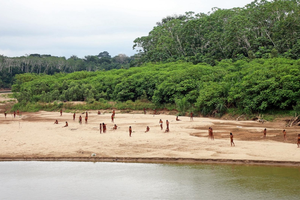 En video: la tribu indígena aislada más grande del mundo sale de su territorio