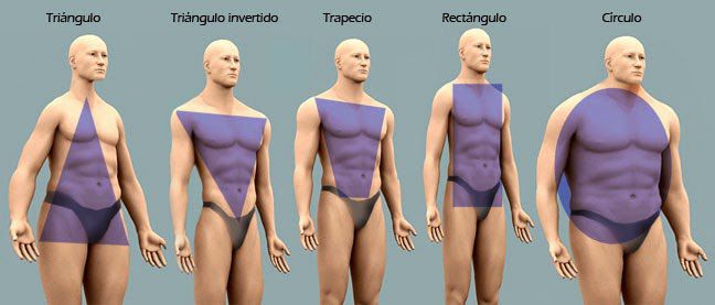 Cuerpo