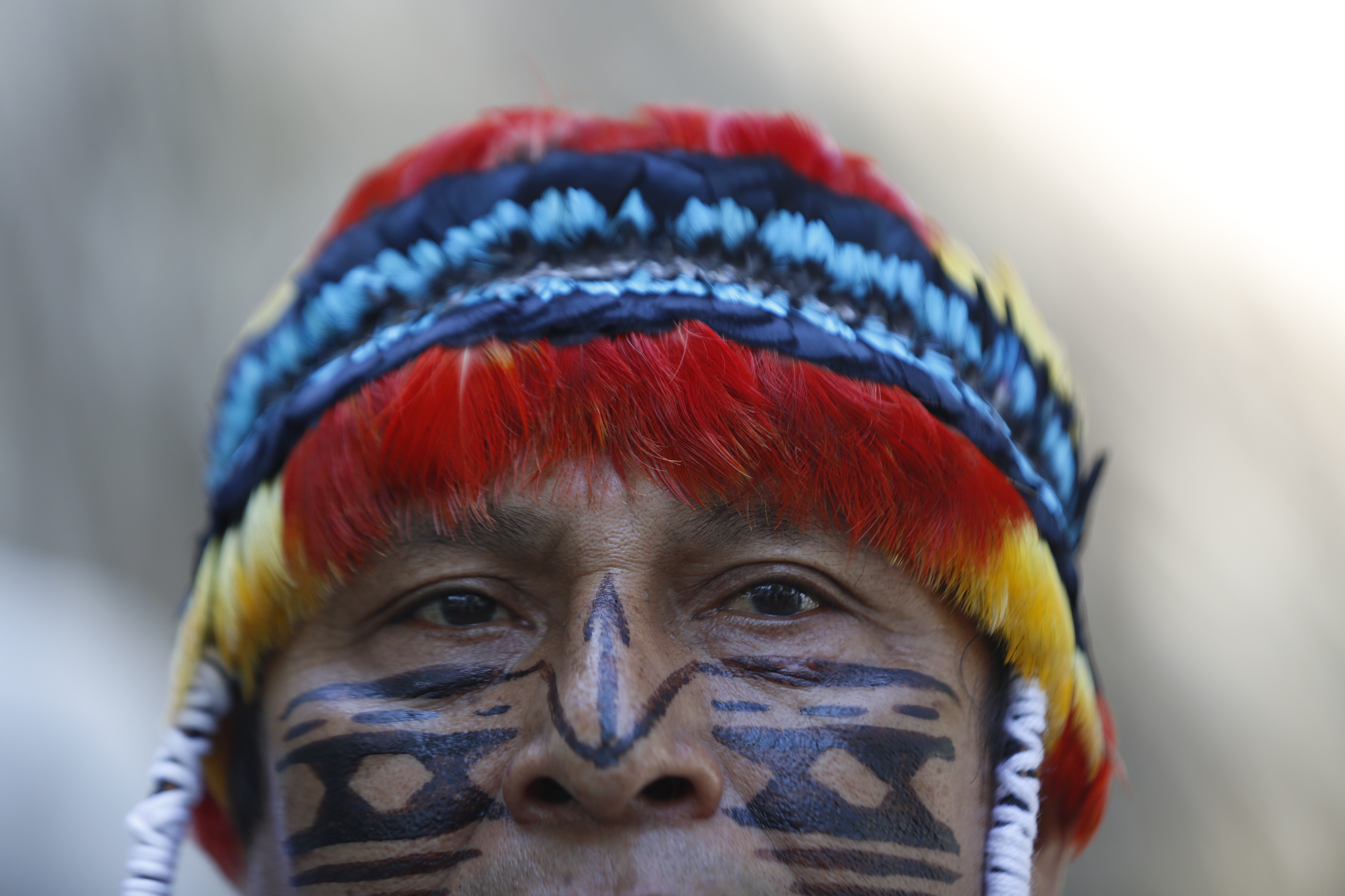 La Amazonia en la encrucijada: Colombia debe liderar su defensa