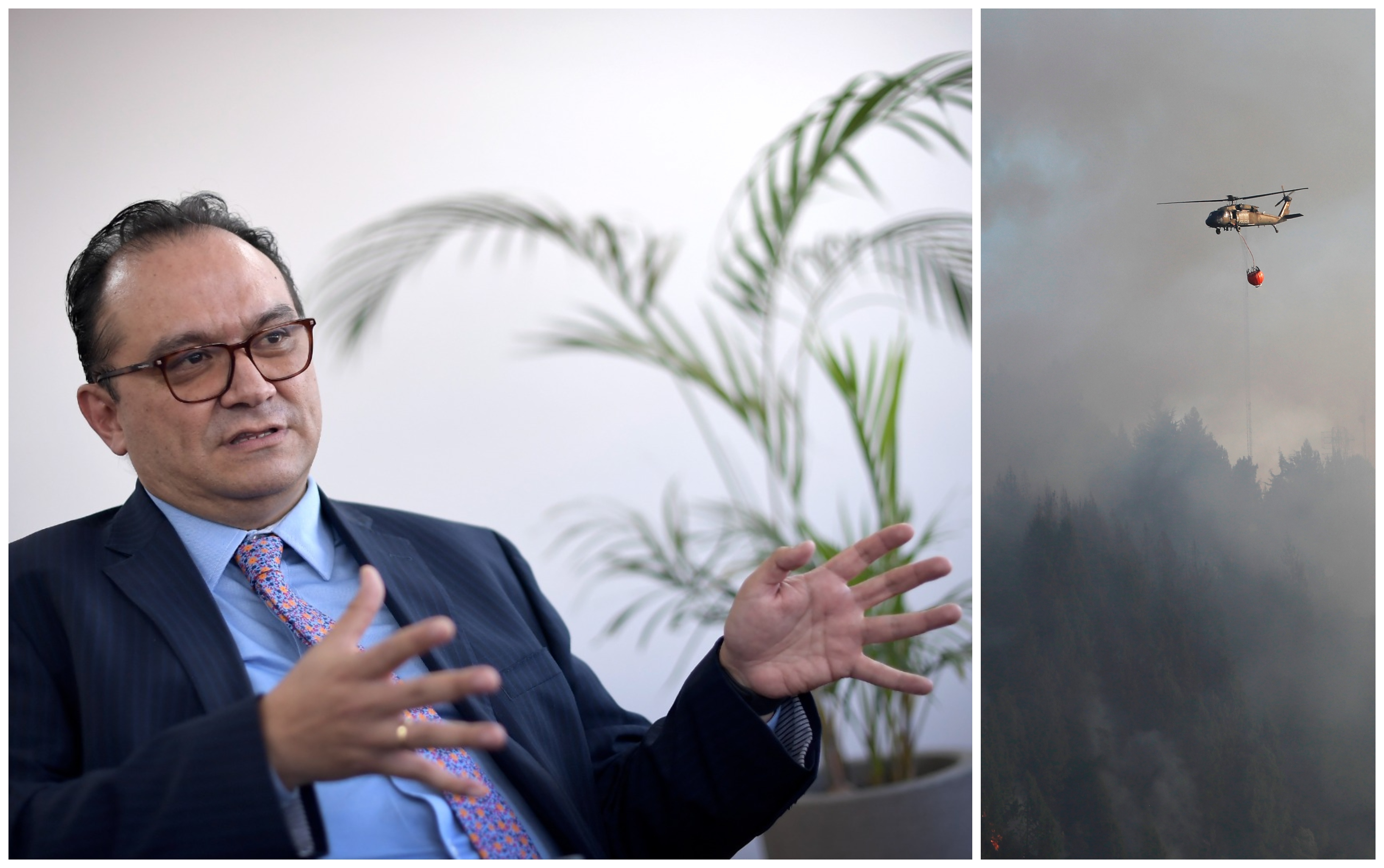Procurador delegado para asuntos ambientales, Gustavo Guerrero.