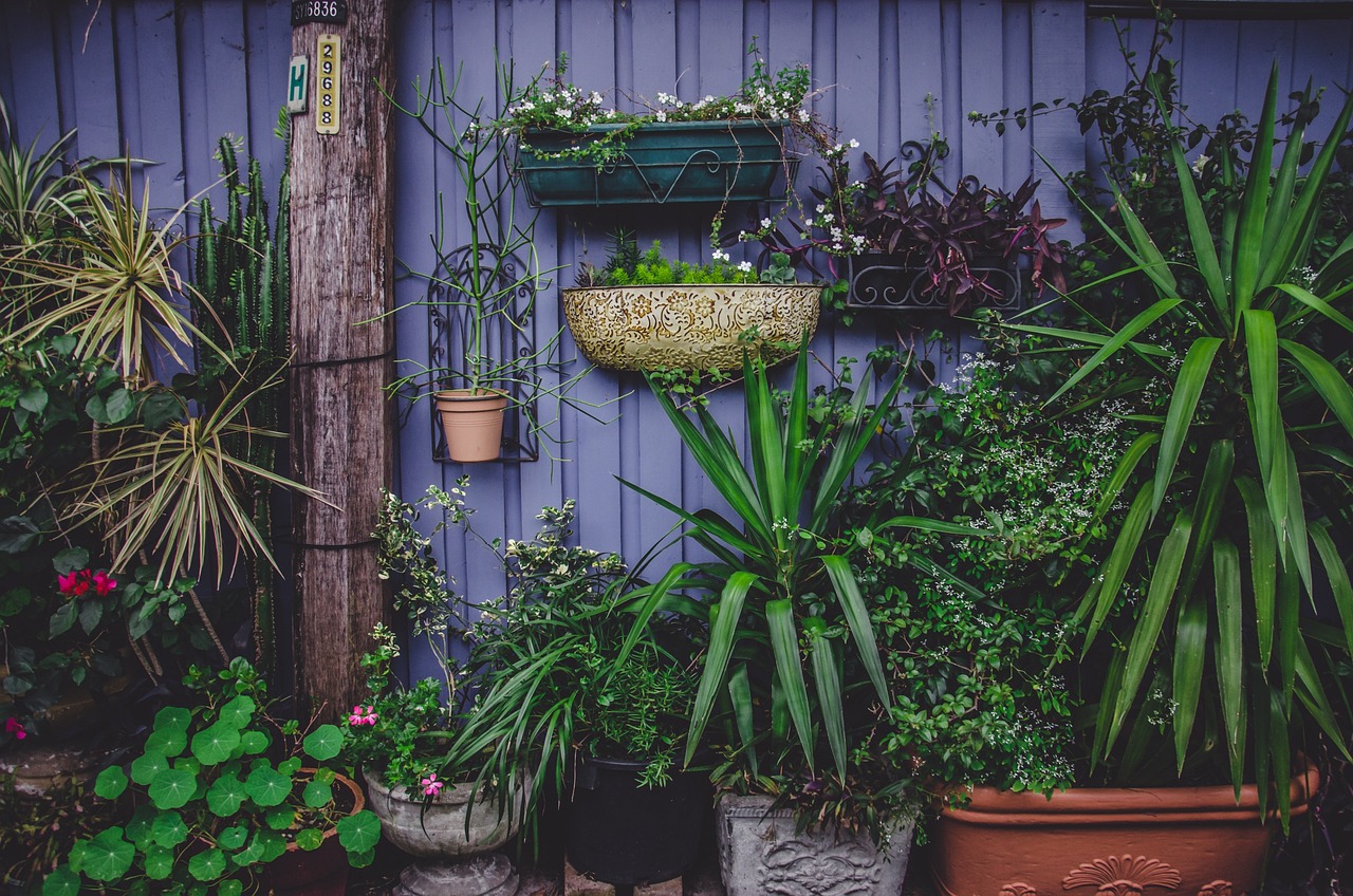 Tips para un jardín floreciente: solucione los problemas que impiden la floración