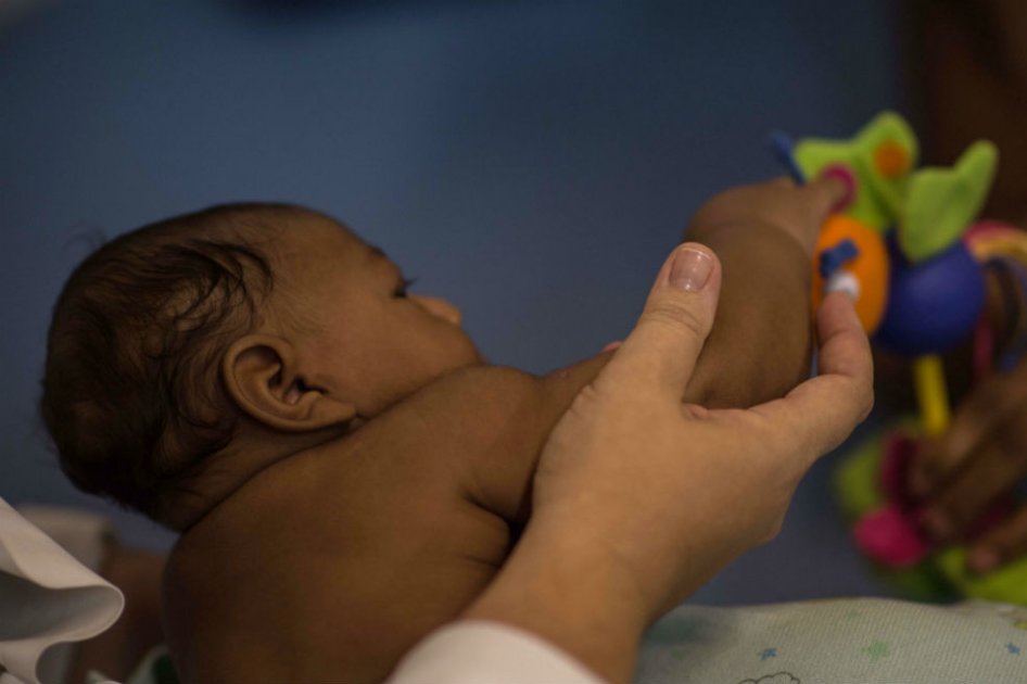 OMS declara emergencia sanitaria mundial por virus del Zika