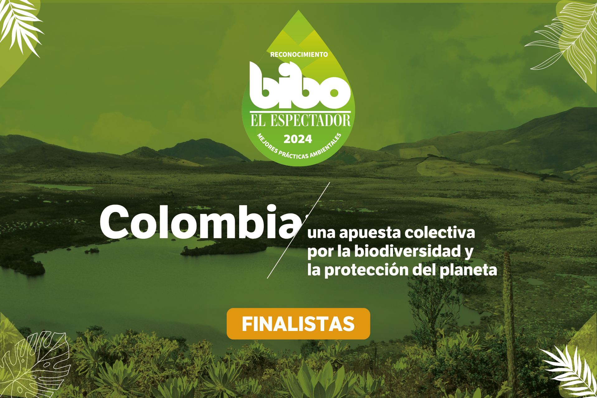 Estos son los mejores proyectos ambientales, finalistas del Premio BIBO 2024