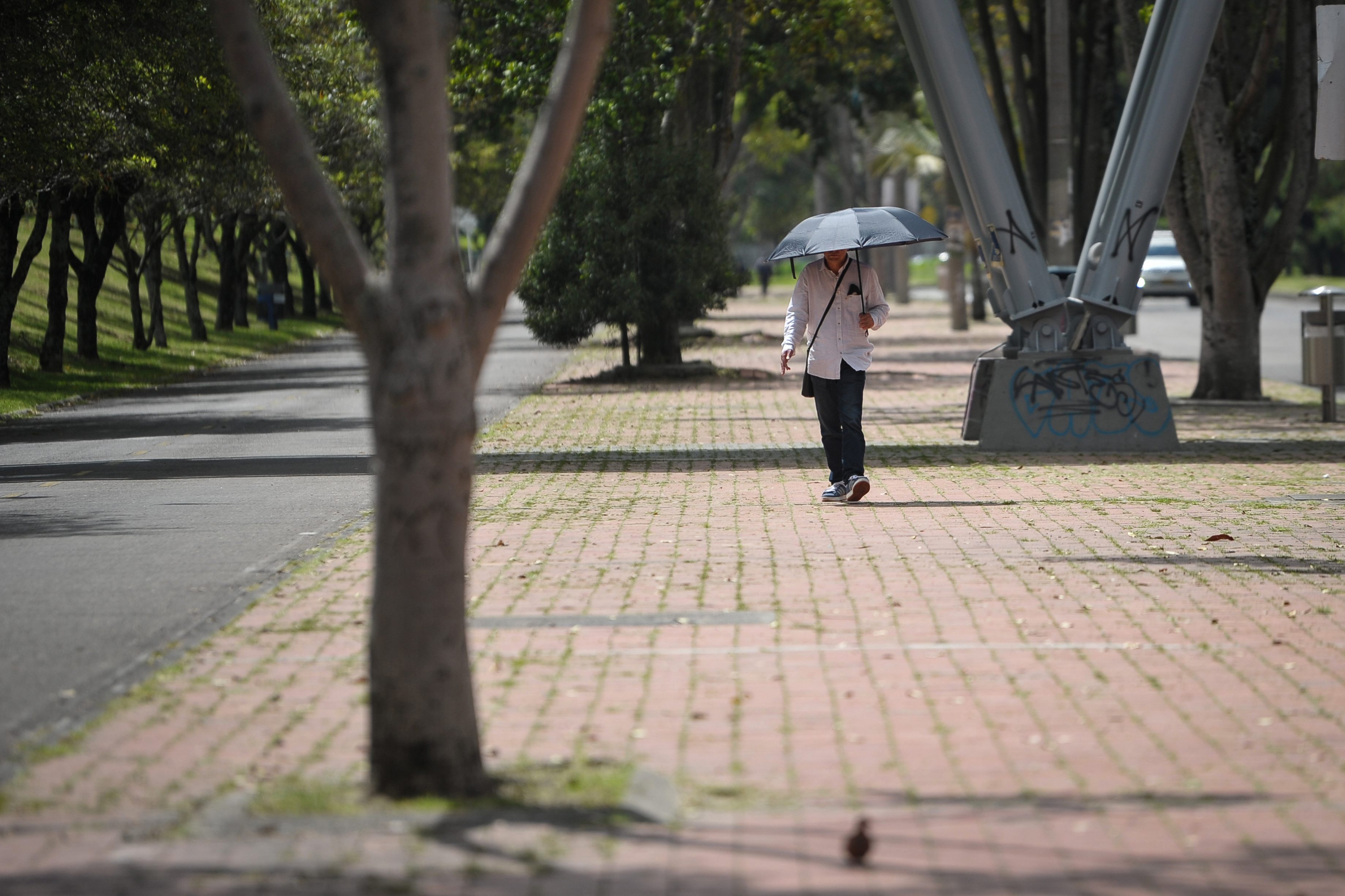 Calor aumentó durante primeros días de agosto y las temperaturas seguirán subiendo: Ideam