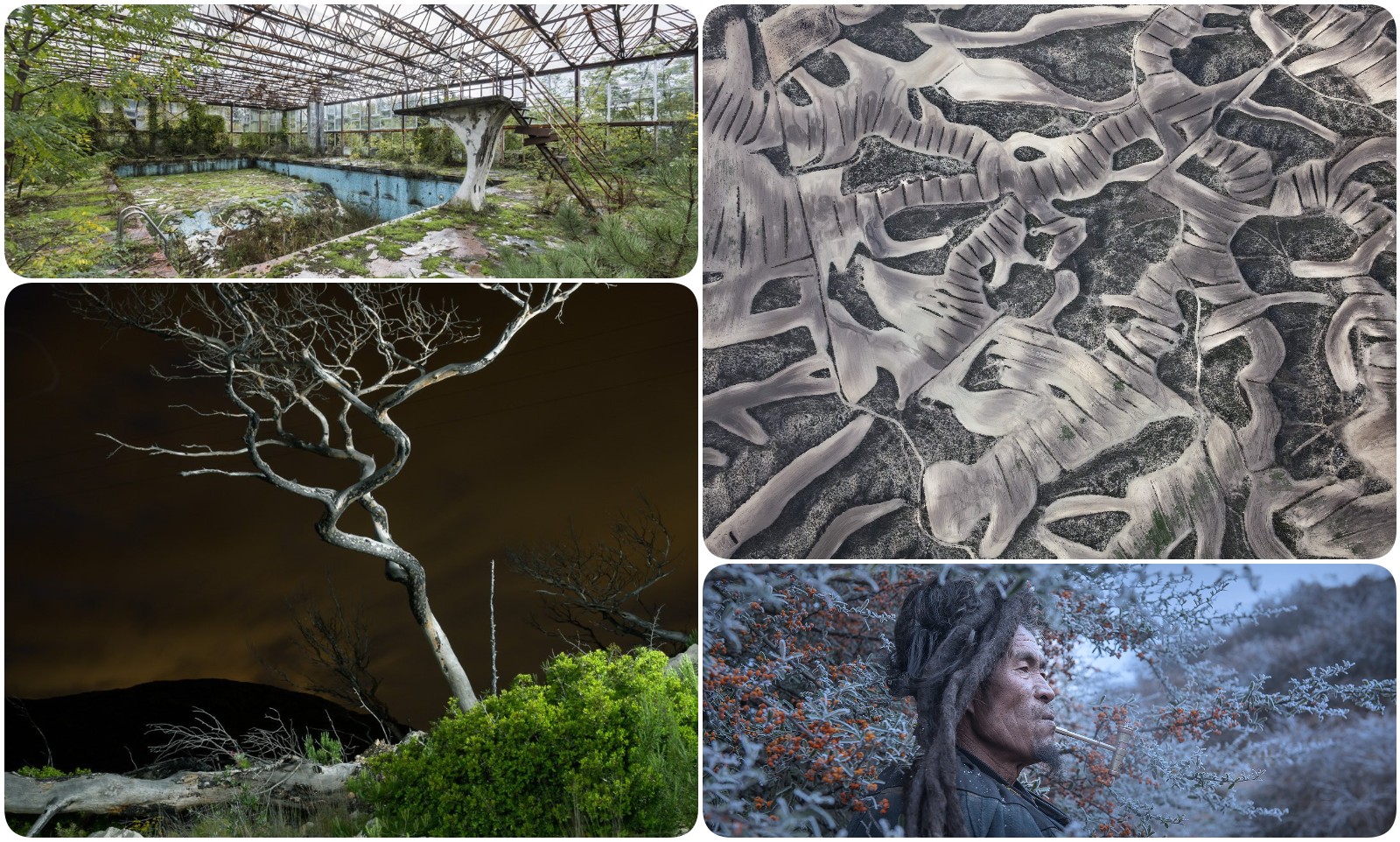 Las mejores imágenes de naturaleza del concurso de fotografía Earth Photo