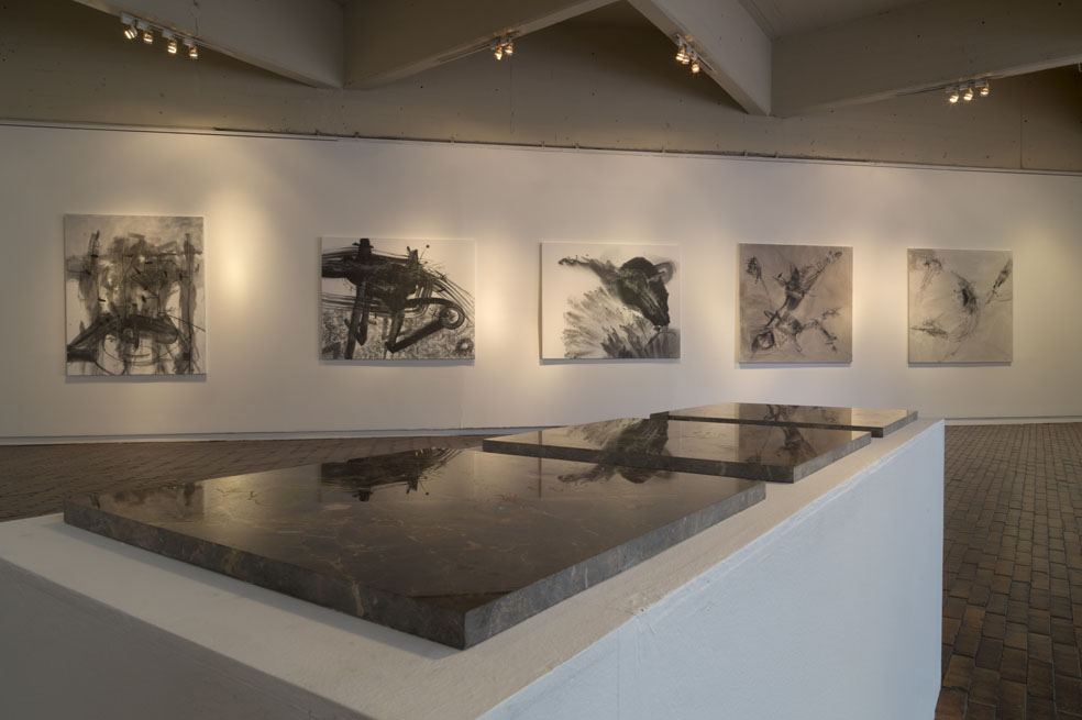El imaginante, muestra de Diego Mazuera en el Mambo
