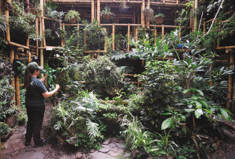 En fotos: conozca las huertas de la cuarta ruta turística agroecológica de Bogotá