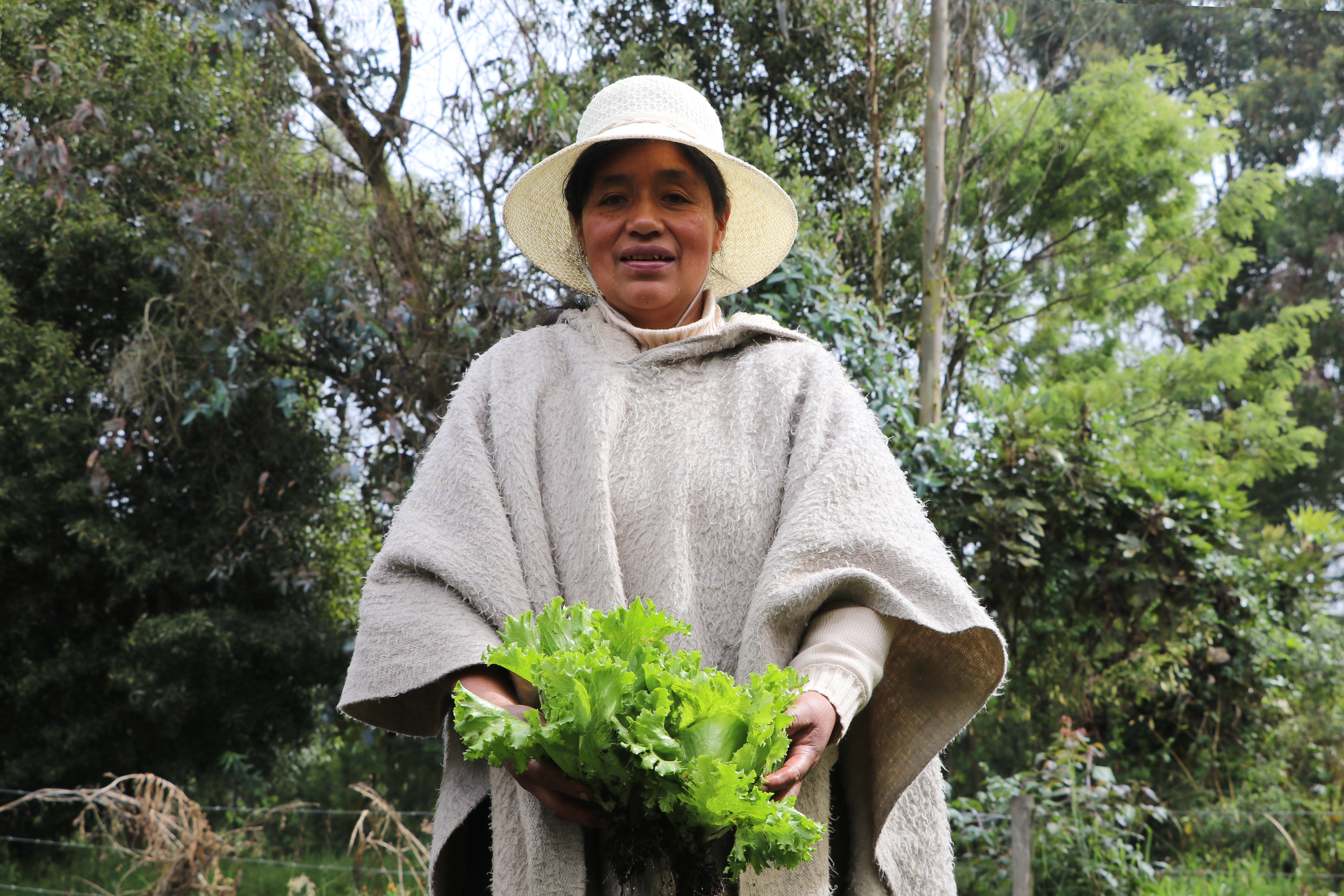 La Fundación Impulso Verde Kuaspue lidera una red de 19 viveros comunitarios en el suroccidente colombiano.