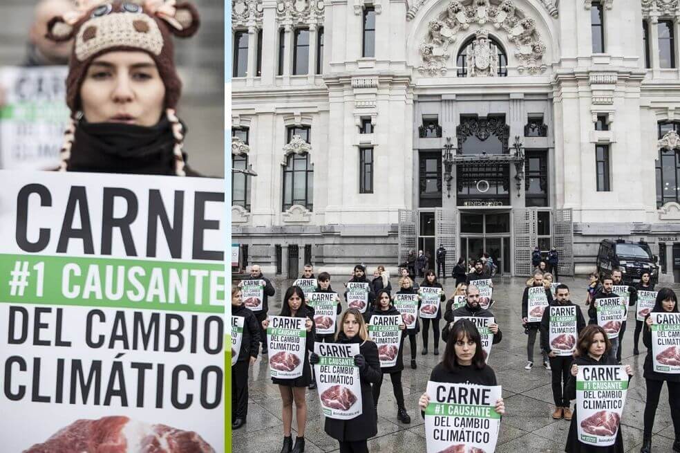 Animalistas piden declarar el consumo de carne como principal causa de la crisis climática