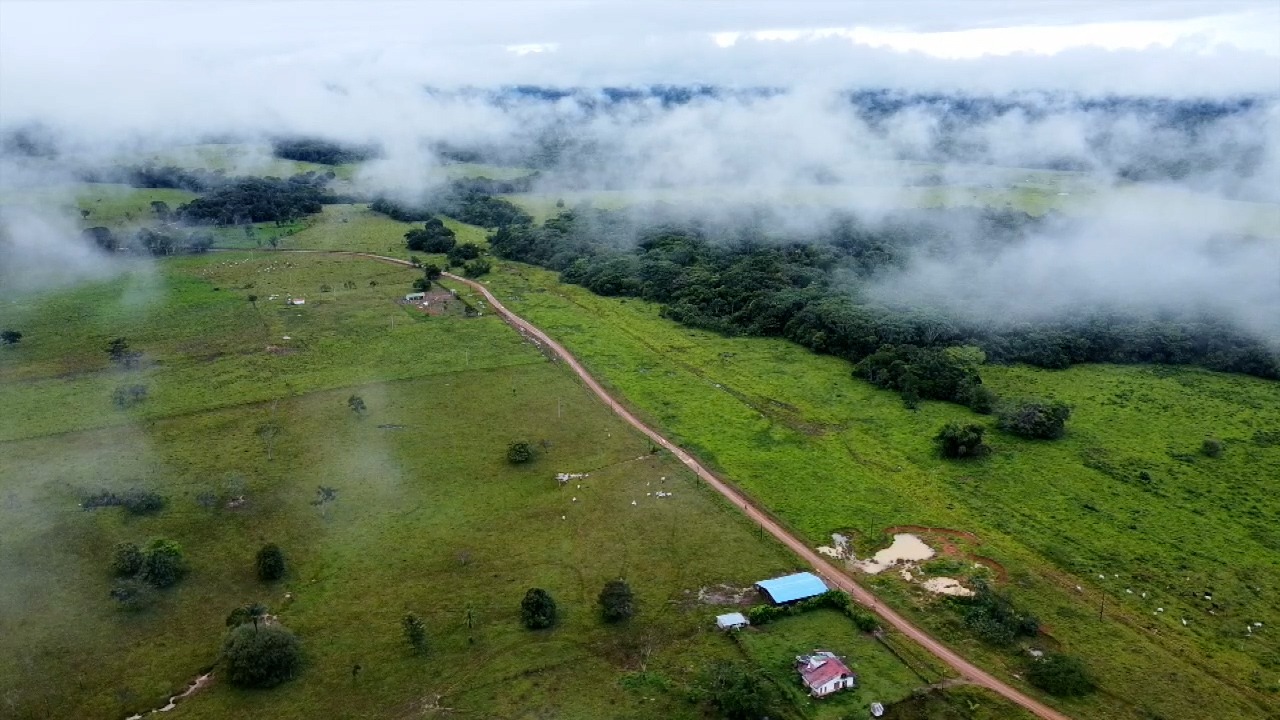 Construcción de vía en Guaviare enfrenta a campesinos con ambientalistas y Estado
