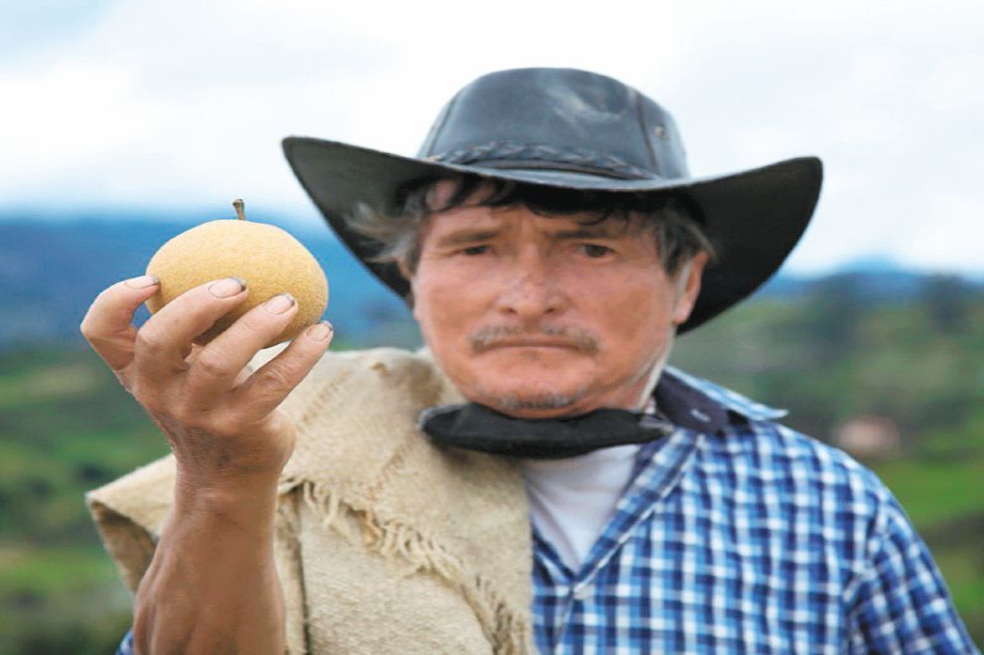 TRUEQUES DE PERAS EN JENESANO