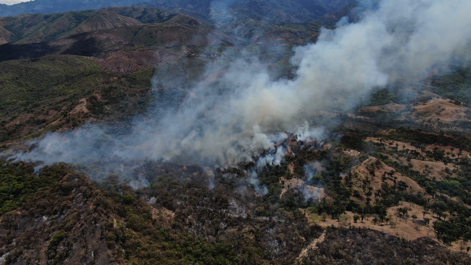 Incendios en Tolima dejan 8.500 hectáreas afectadas: seis conflagraciones siguen activas
