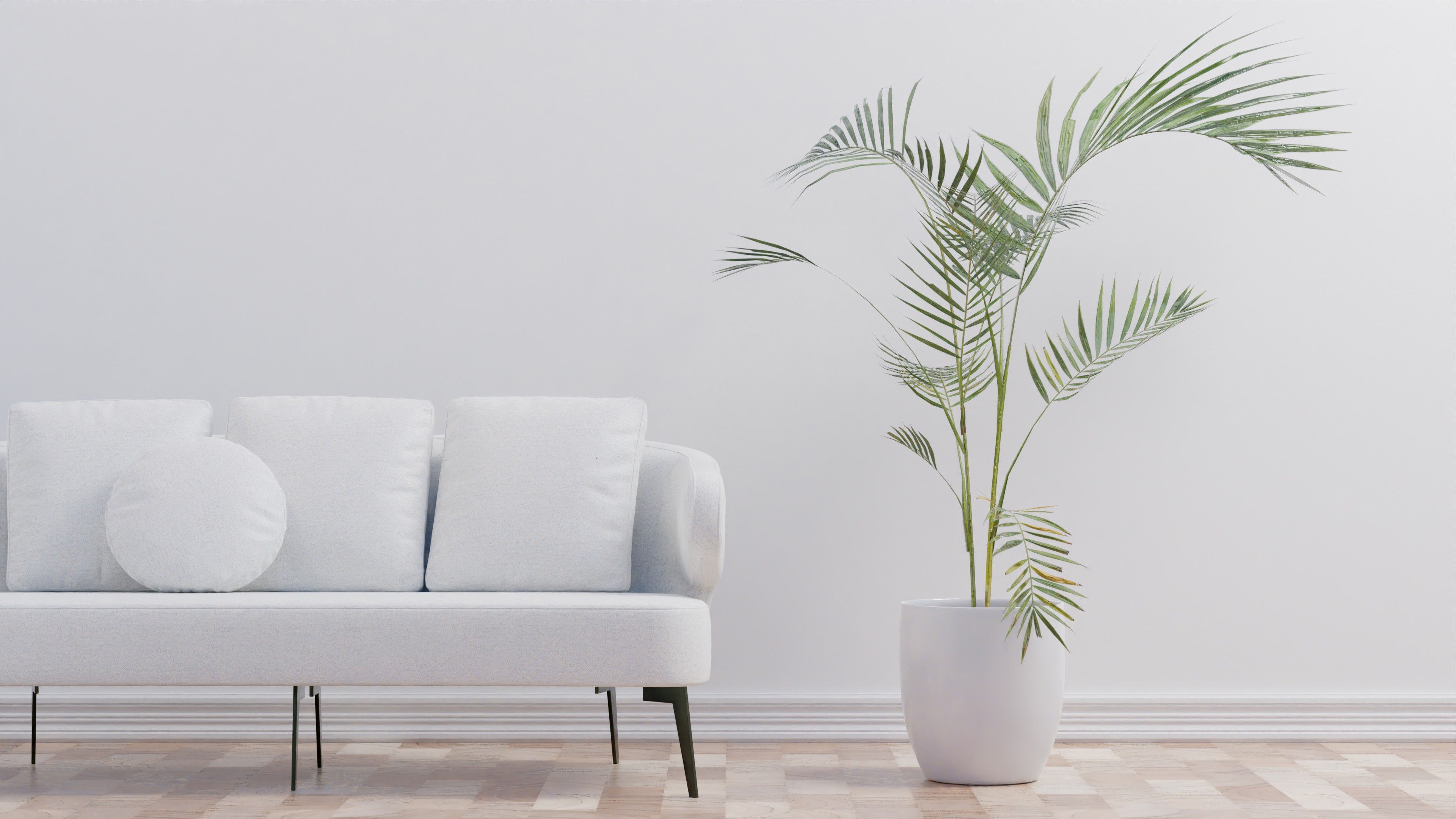 ¿Cómo saber si una planta necesita una maceta más grande? Estas son las señales