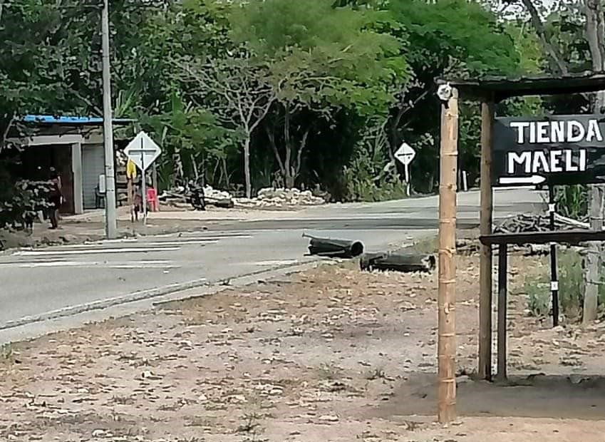 ¿Qué pasa en Arauca? En menos de un mes van casi 50 muertos debido a la violencia
