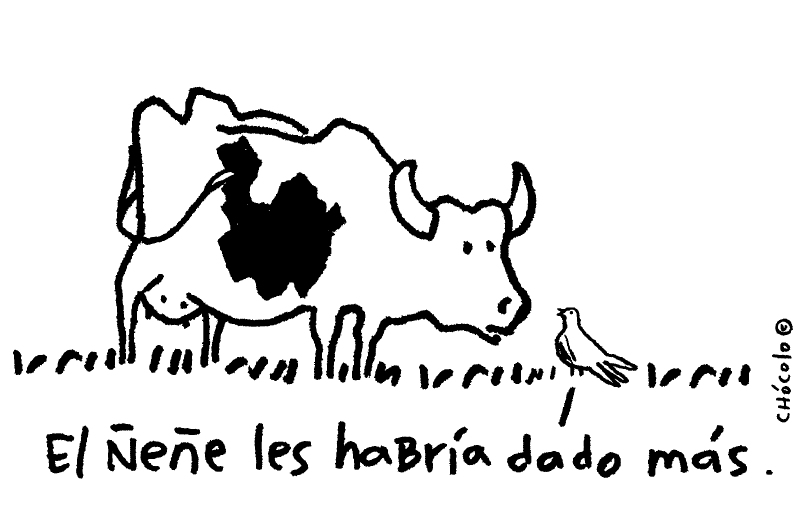 Chócolo