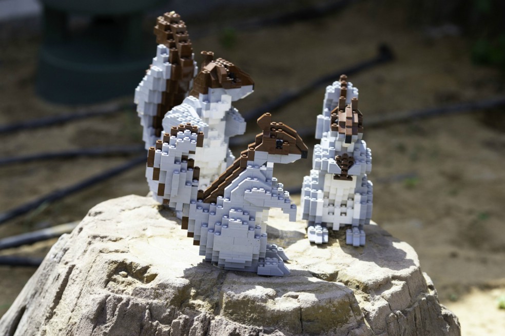 Lego crea ladrillos de construcción para niños con deficiencia visual