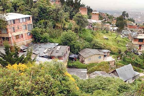 Autoridades hallan 20 ‘cambuches’ en los Cerros Orientales