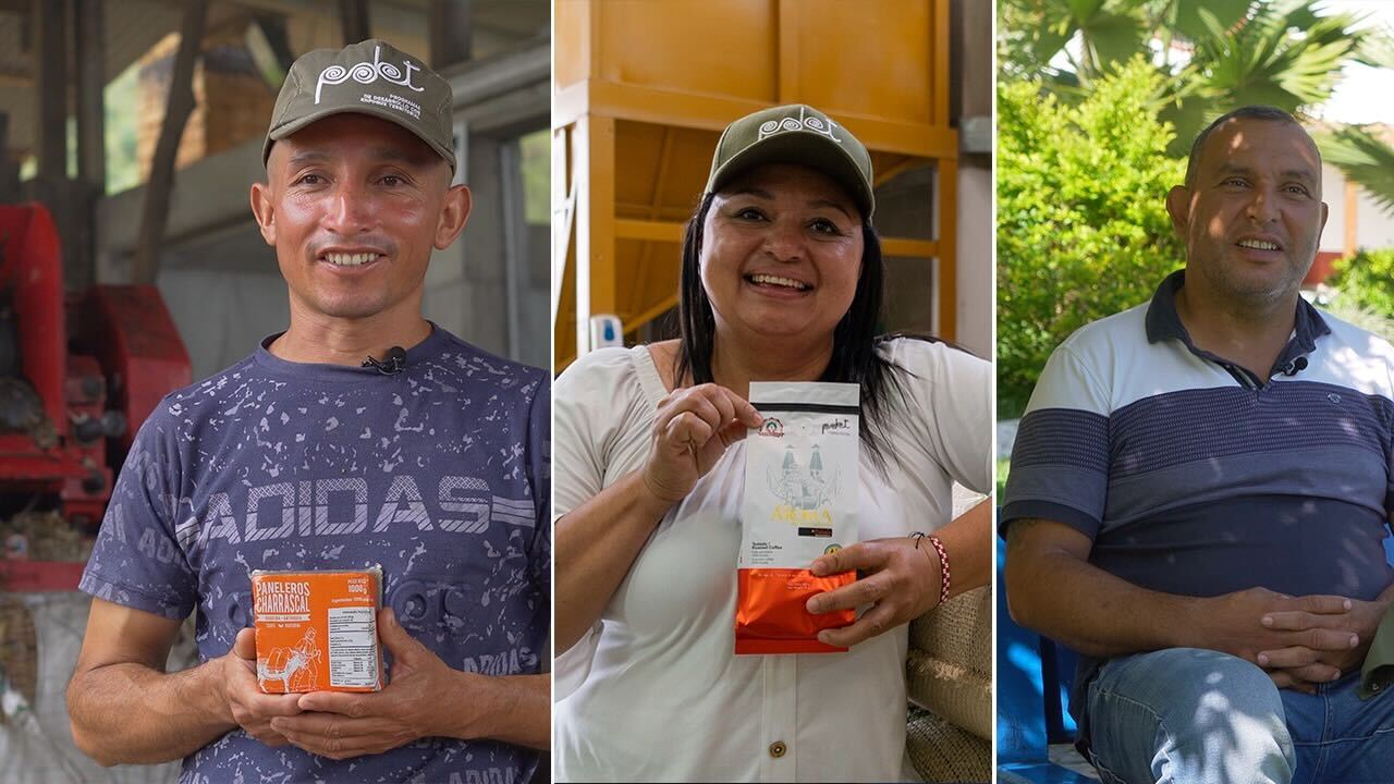 Café, panela y leche: tres líneas productivas del PDET en Dabeiba