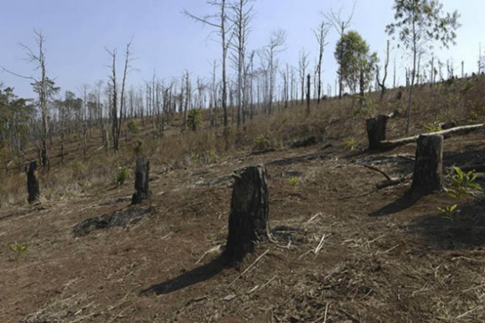 Ambientalista compara cambio climático con la caída de la civilización maya