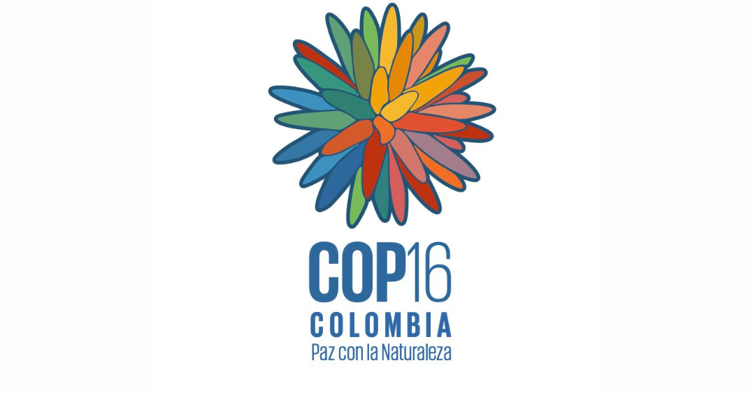Creamos una nueva sección para que no se pierdan nada de la COP16