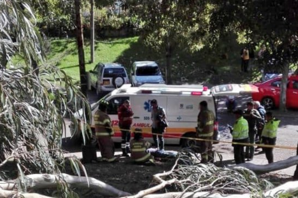 Mujer resultó herida tras la caída de rama de un árbol en Bogotá