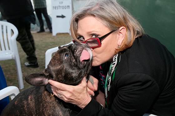 El perro de Carrie Fisher ya tiene nuevo dueño