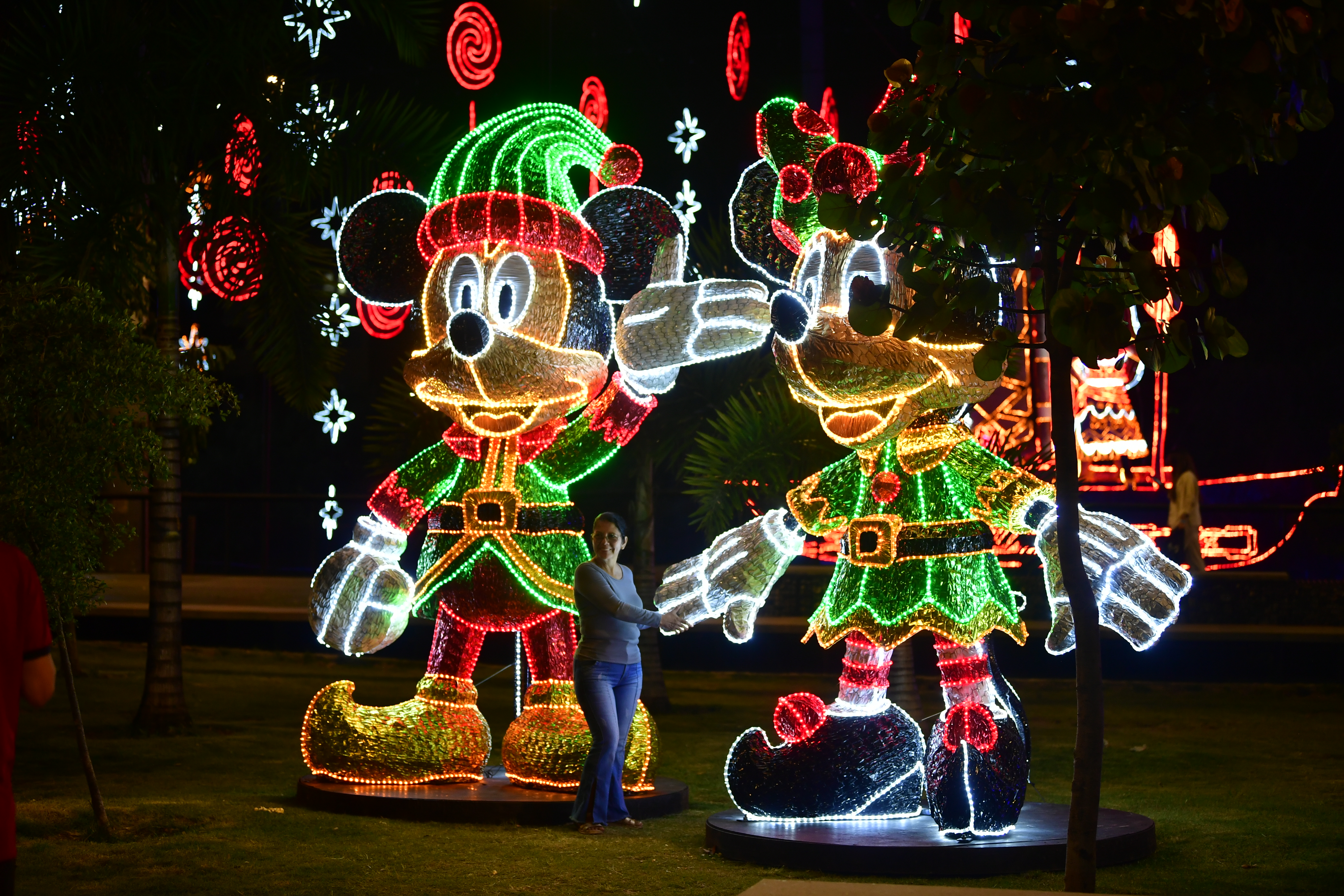Decorado y alumbrado navideño Medellín EPM