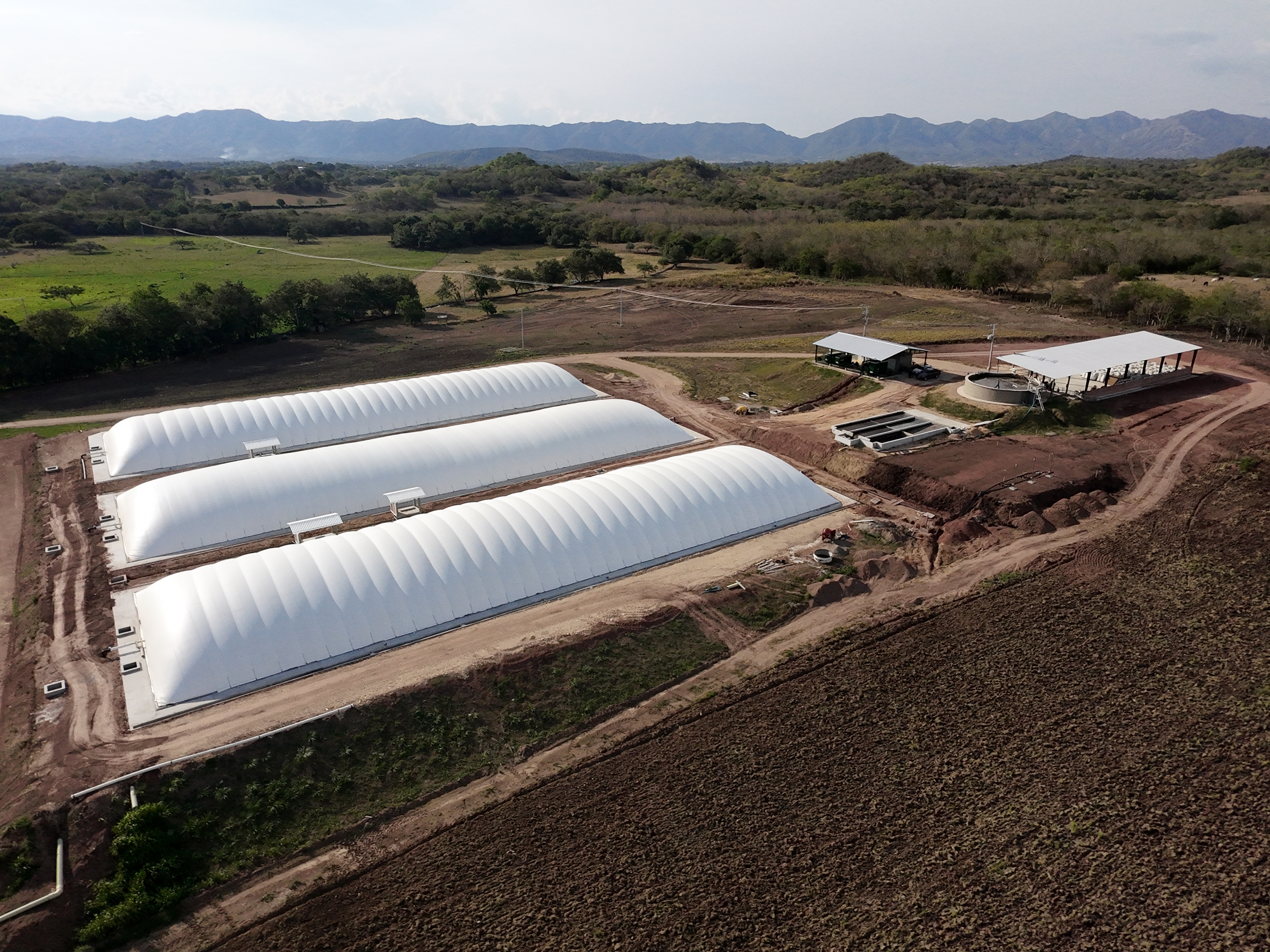 El sector porcícola quiere involucrarse en el mercado del carbono