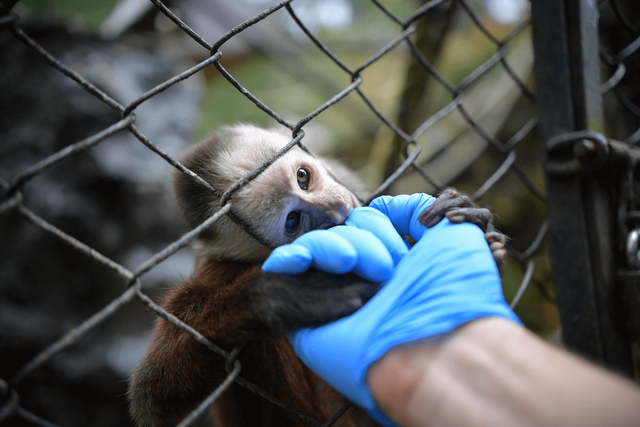 En imágenes, buscan ayudas para sostener los 750 animales del zoológico Santa Cruz