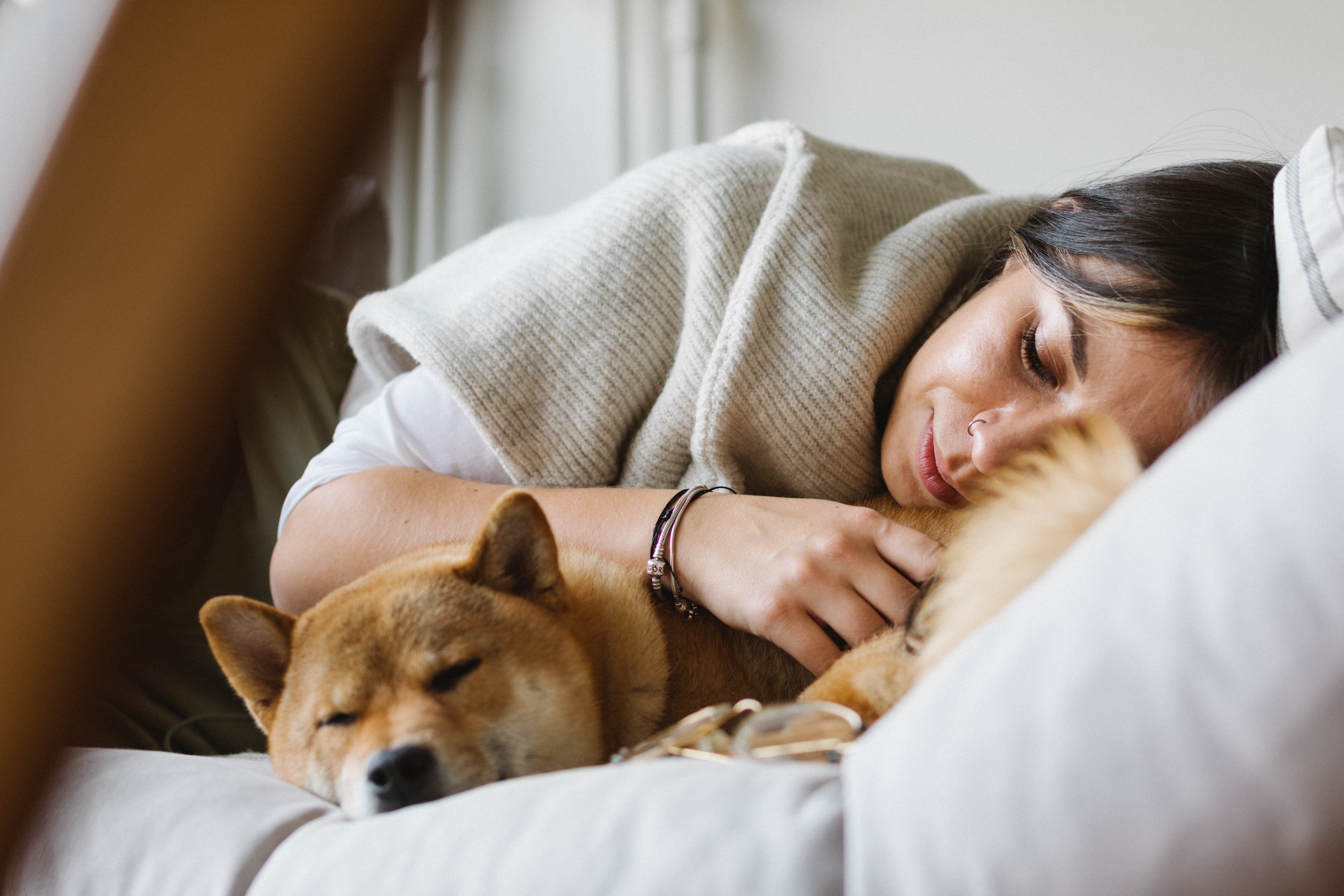 ¿Qué siente mi perro al dormir conmigo?