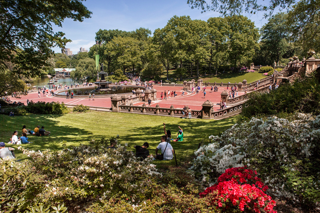 Central Park.