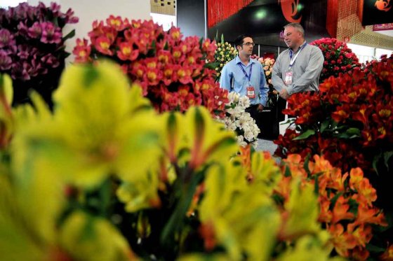 Colombia exportará 500 millones de flores para enamorados de todo el mundo