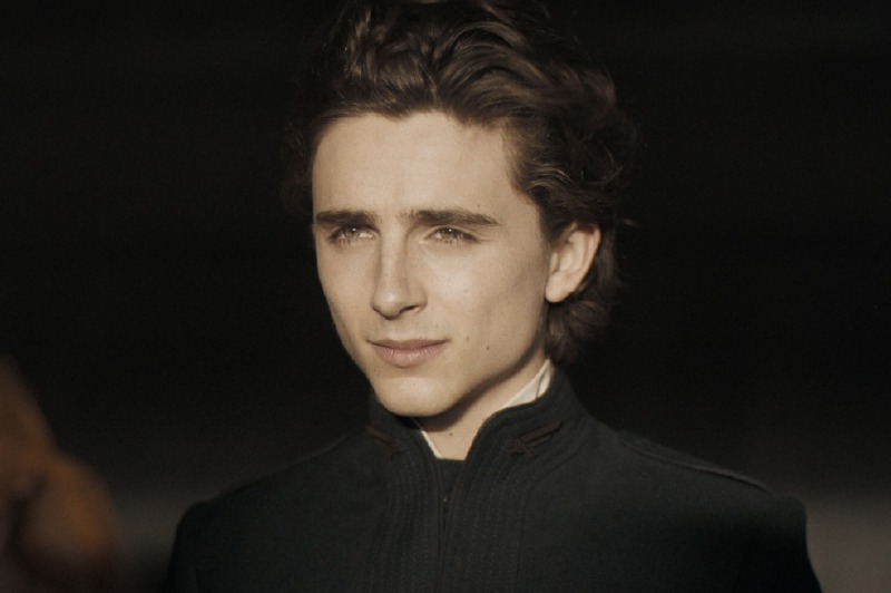 Timothée Chalamet: el héroe adolescente de “Duna”