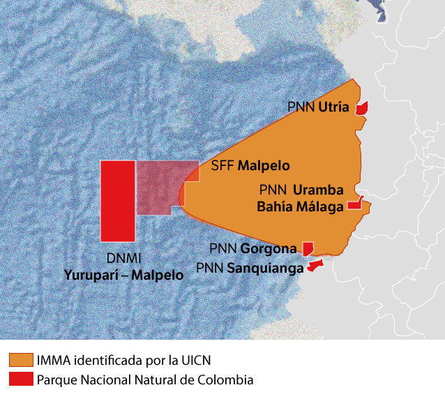 Aunque para identificar una IMMA no es necesario que haya un área marina protegida, en el caso colombiano se dio una coincidencia, dice Ávila. Quedaron cobijados los PNN Gorgona, Uramba Bahía Málaga y Utría.)