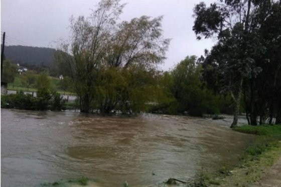 Bogotá no presenta ningún riesgo ante incremento de lluvias