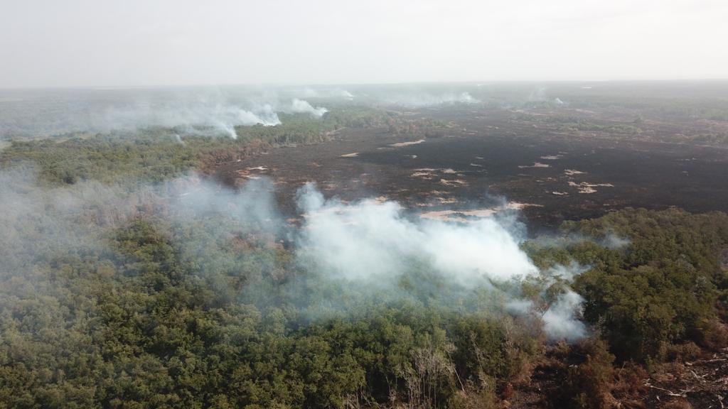 Incendio ha consumido más de 12 hectáreas de la Ciénaga Grande de Santa Marta