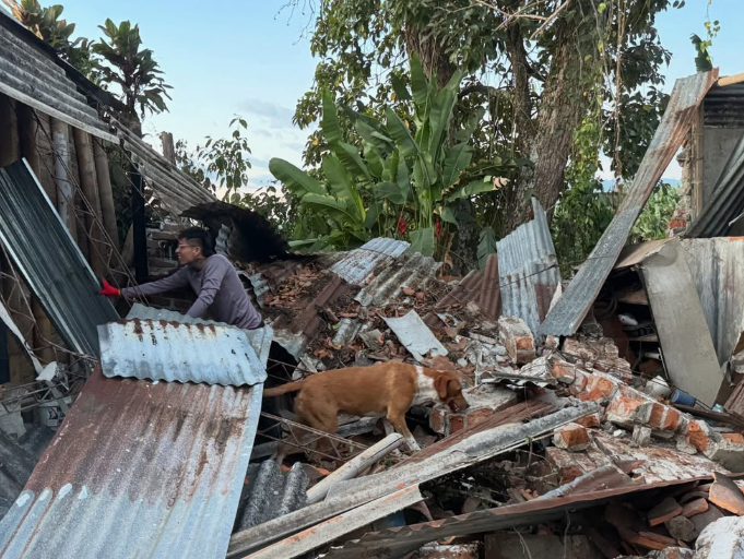 “Una garra por Colombia”: así puede ayudar a cientos de animales afectados por el temblor