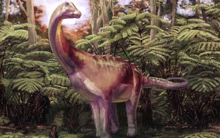 Resuelven el misterio del primer hueso de dinosaurio encontrado en la Antártida