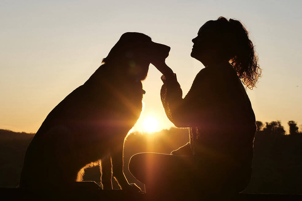 ¿Cuáles son las mejores zonas de Bogotá para vivir con tu mascota?