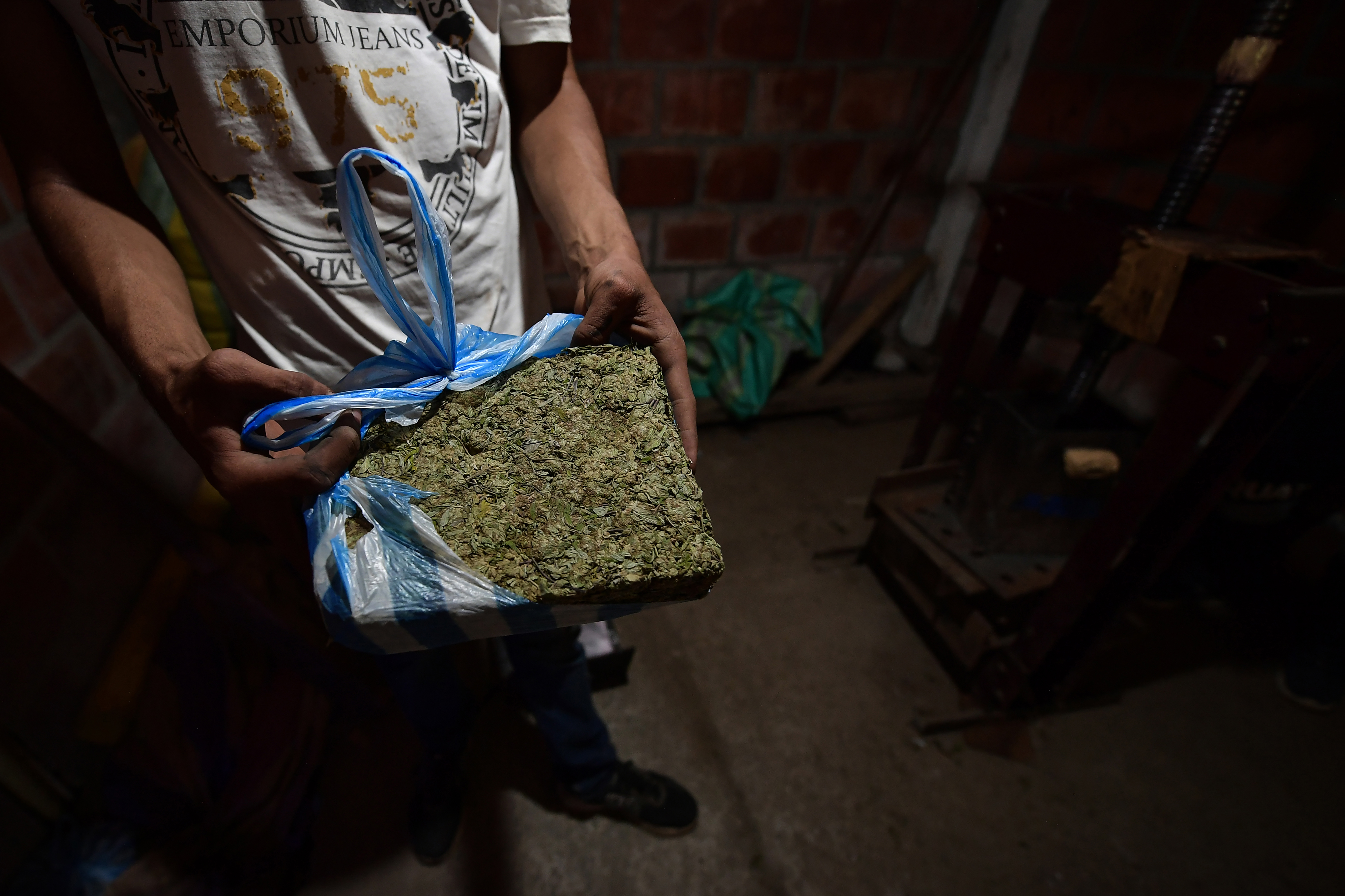 El boom de la marihuana en Colombia que muchos desconocen