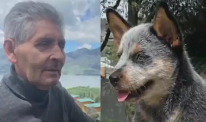 Buscan a conductor que atropelló a un adulto mayor y a su perro en Bogotá