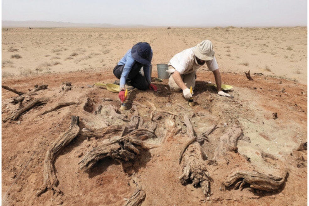 La otra gran muralla de Asia: descubren una nueva función de la Muralla del Gobi