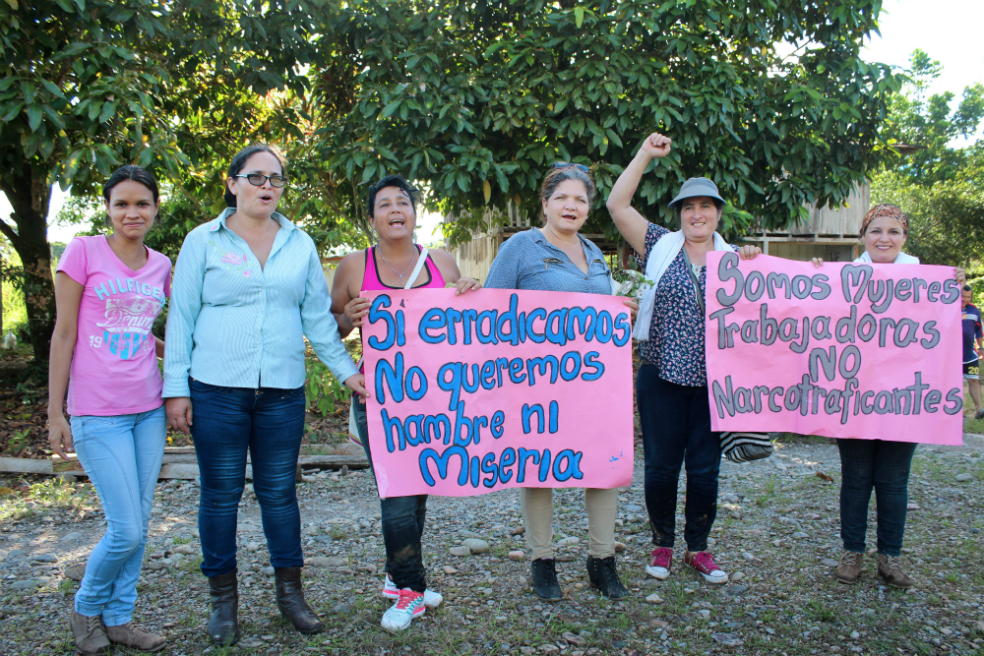 En video: Nariño se opone a la erradicación forzosa y a la fumigación de cultivos de coca