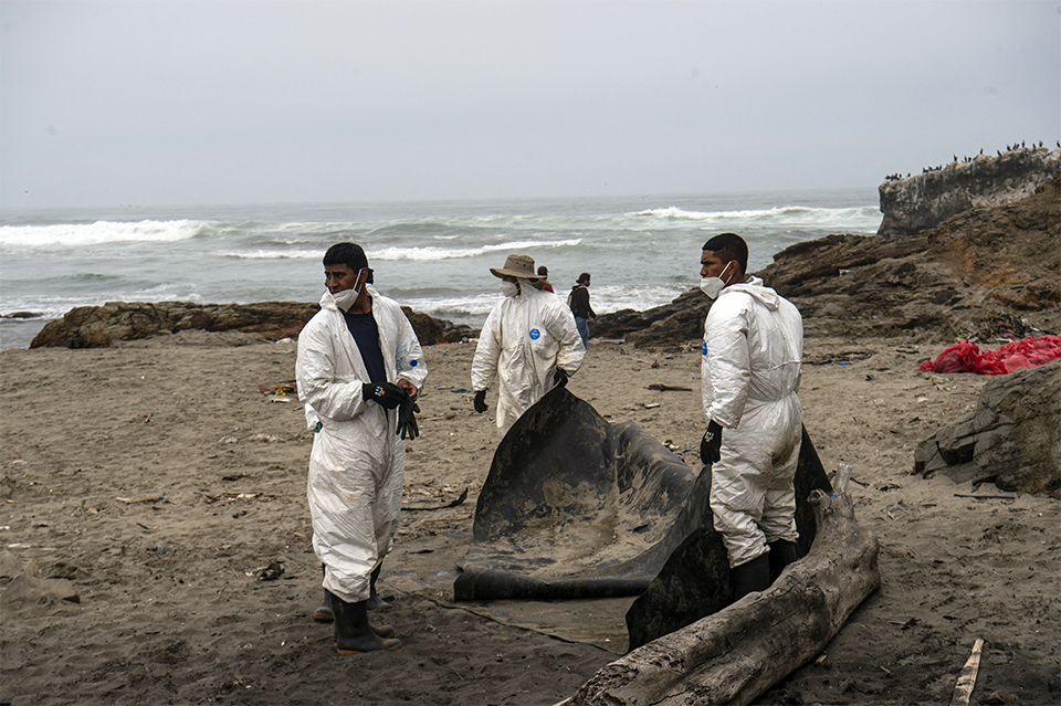 Perú: pescadores siguen sin poder trabajar tras tres meses del derrame de Repsol